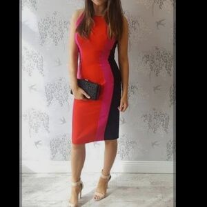 217- Rhinascimento Elegant Red and Pink‎ Colorblock Dress Bodycon